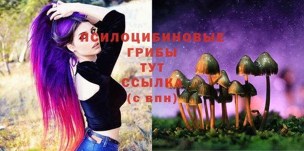 герыч Елизово