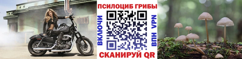 Псилоцибиновые грибы MAGIC MUSHROOMS Купить закладки Радужный